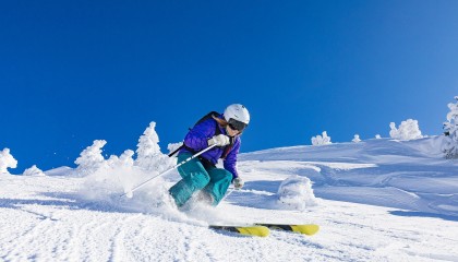 mk体育-双线沸腾！科维托娃五赛季高光再现，勇士球迷为之疯狂